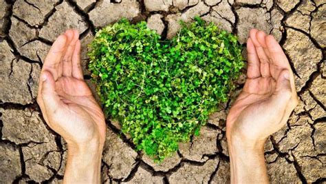 best environmental charities to donate to|19 Environmental Charities You Should Know .